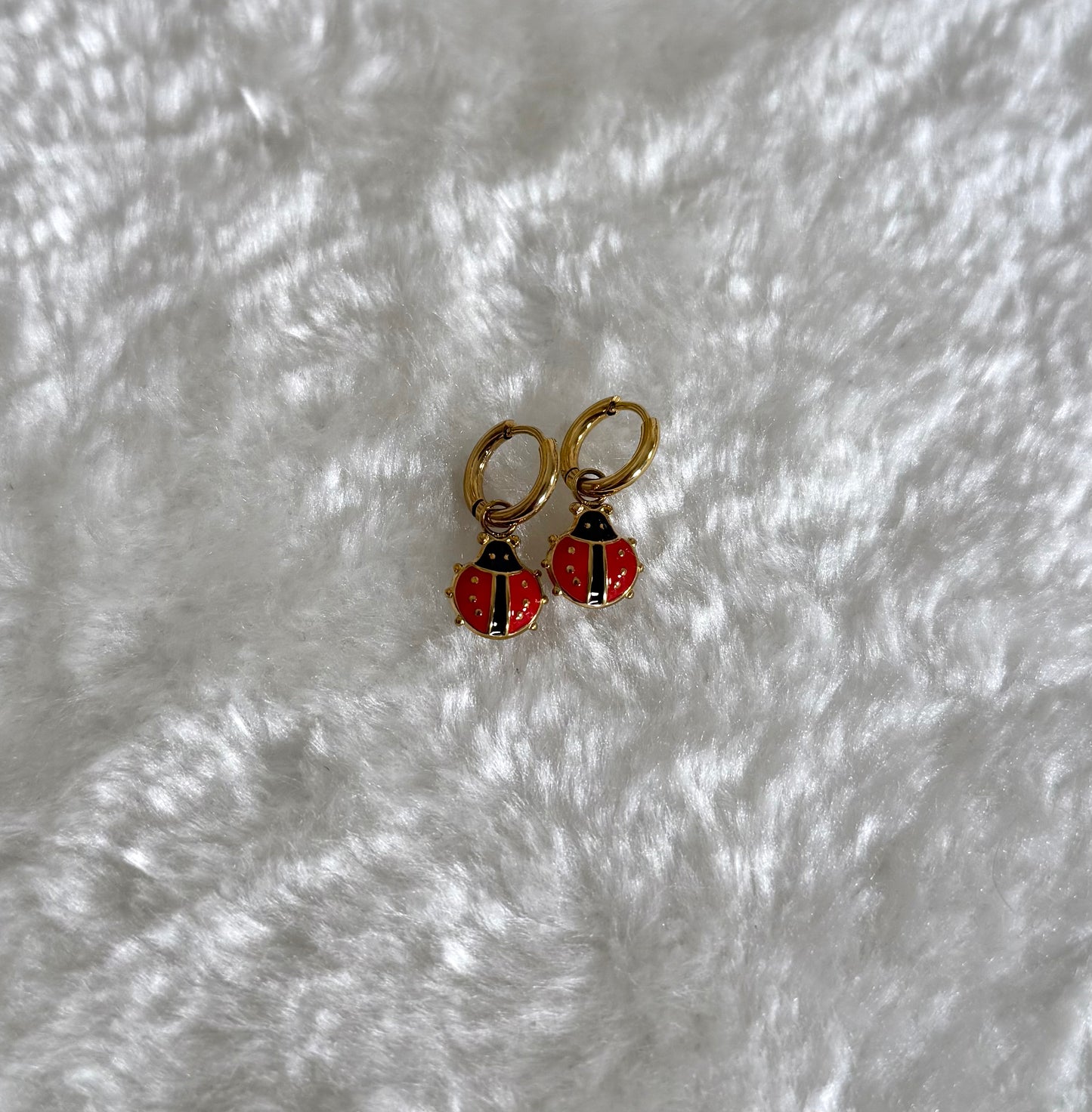 Boucles d'oreilles Cocci