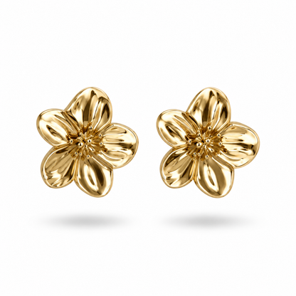 Boucles d'oreilles June